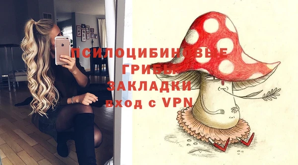 мет Дмитров