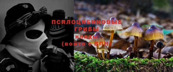 дурь Балахна