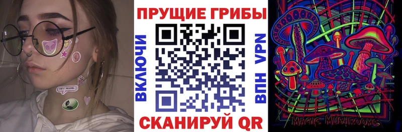 Галлюциногенные грибы Psilocybe где купить Покровск